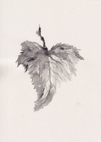 http://www.soerenhiob.com/files/gimgs/th-99_4  2_v2.jpg